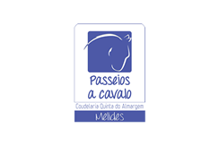 Passeios a Cavalo